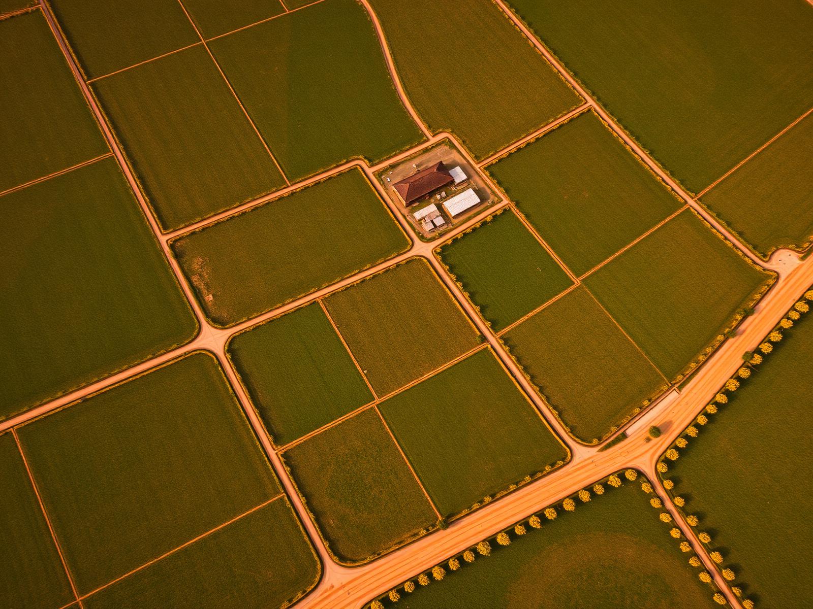 Aerial view of subdivided land plots